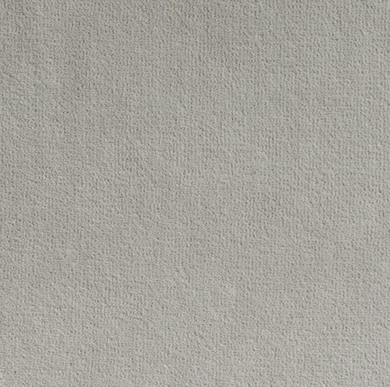 Michelangelo E11